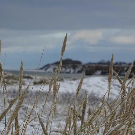 公寓 Moewennest 阿伦斯霍普