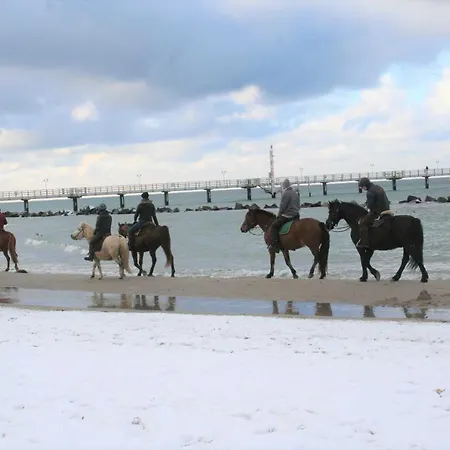 Moewennest 公寓 阿伦斯霍普